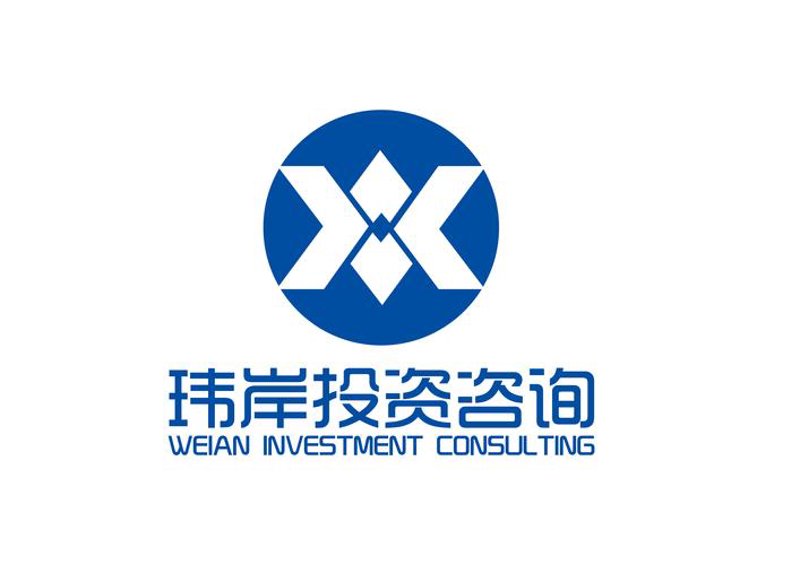 项目投资趋势与策略解析